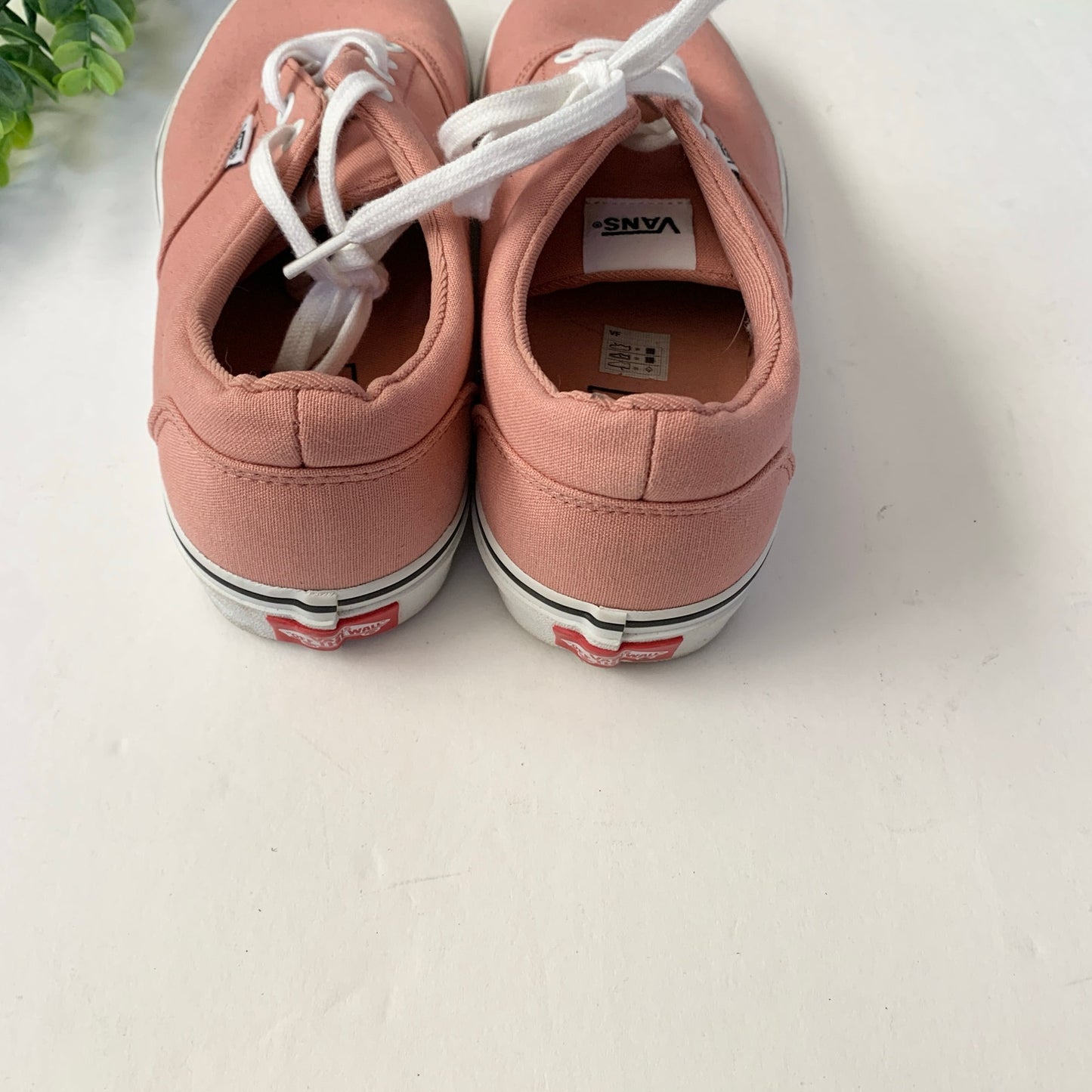 Vans Doheny Women's Skate Shoes Rose Dawn Pink Sneakers