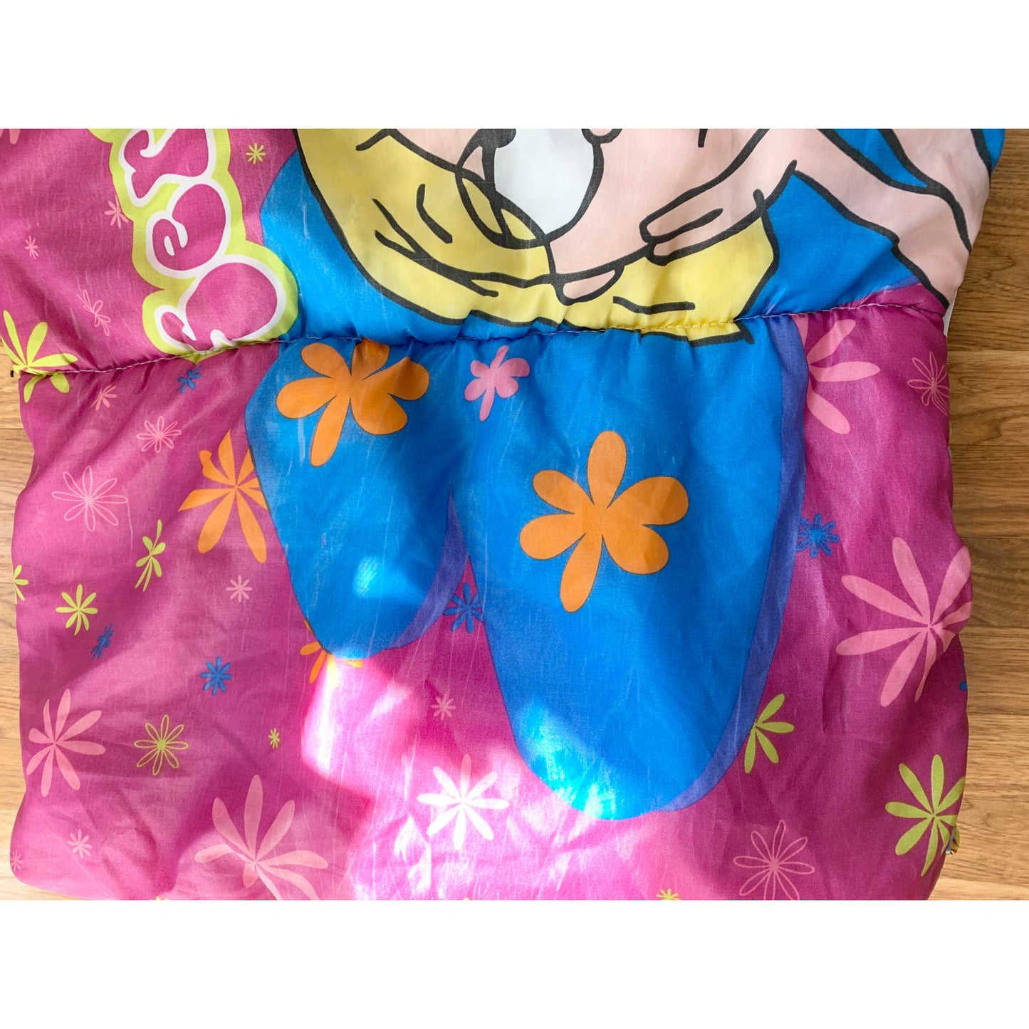 Vintage 2001 Y2K Lizzie McGuire Sleeping Bag Hilary Duff Disney Channel