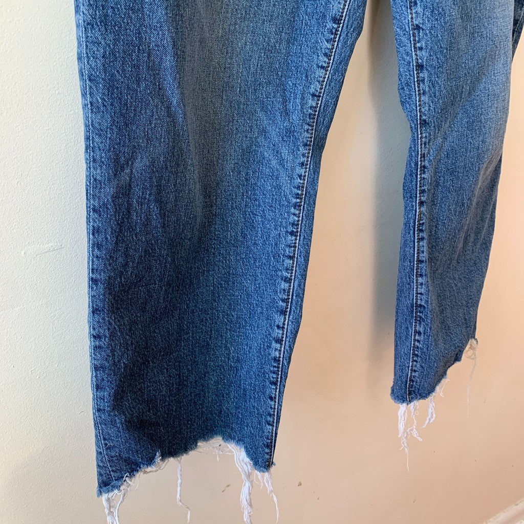 Ann Taylor Loft Ankle Blue Straight Leg Jeans 18 Plus