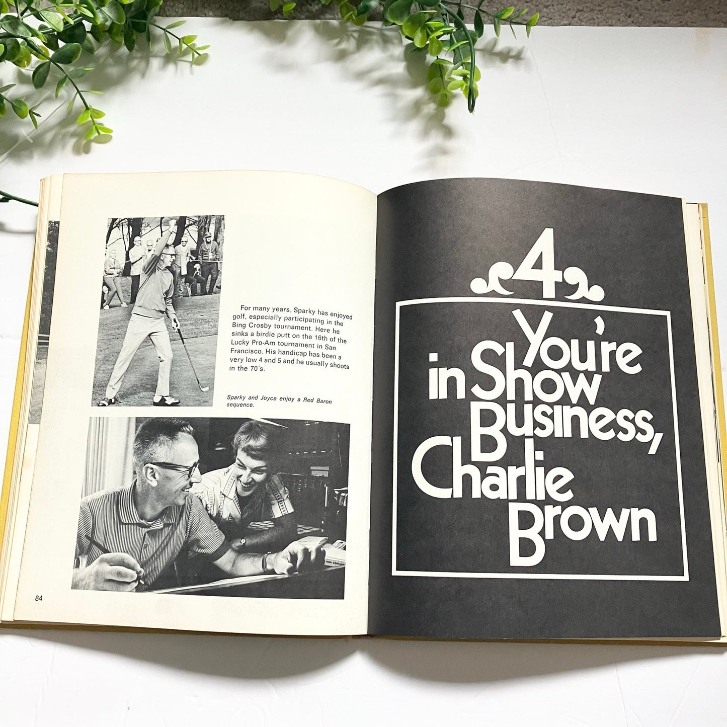 Charlie Brown & Charlie Schulz book Lee Mendelson 1970 Vintage 20th Anniversary