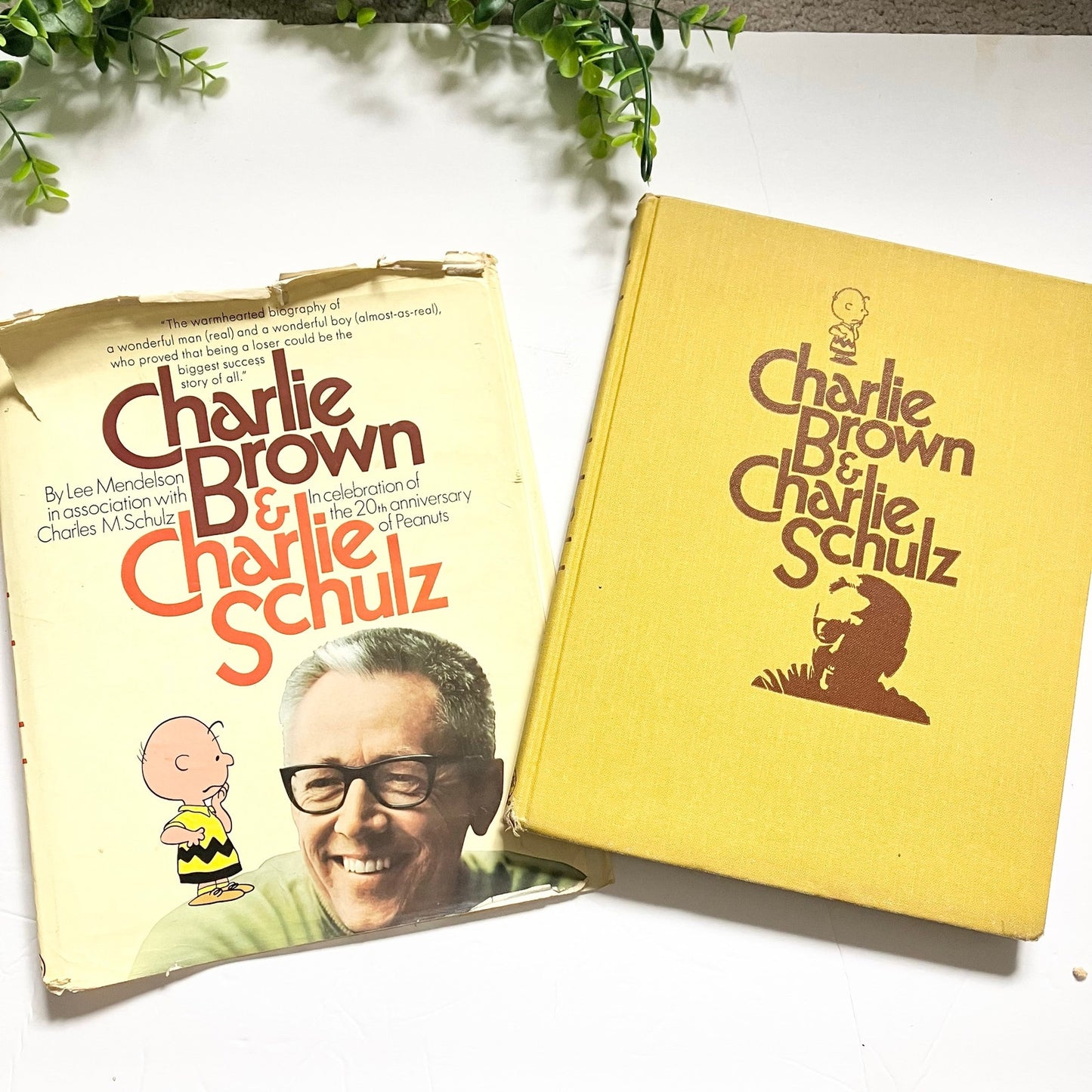 Charlie Brown & Charlie Schulz book Lee Mendelson 1970 Vintage 20th Anniversary