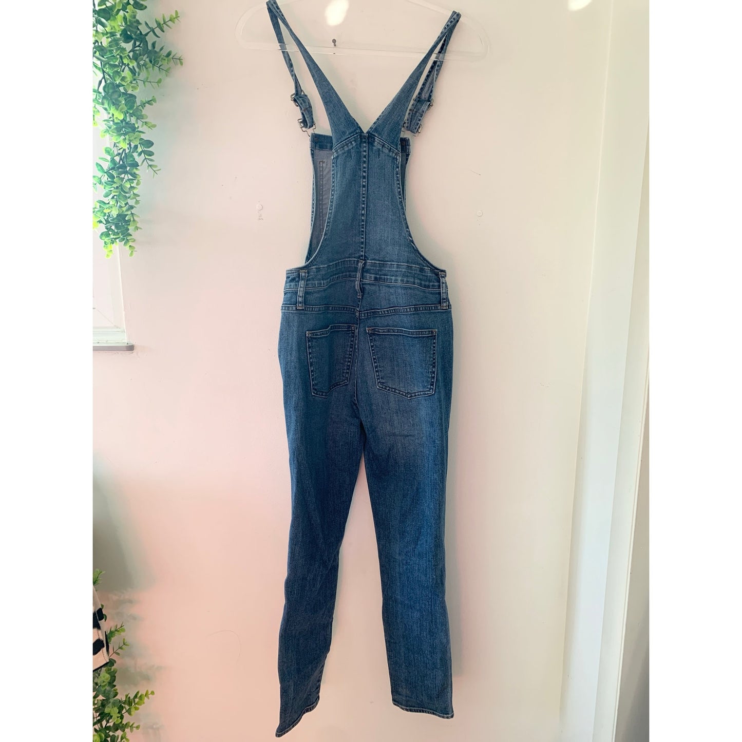 Madewell Denim Skinny Jean Classic Overalls
