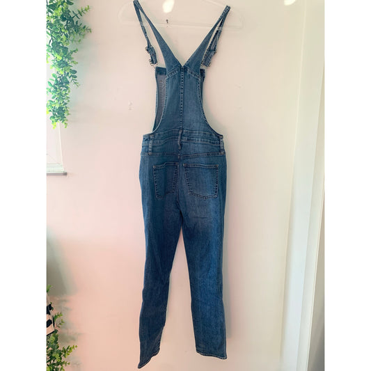 Madewell Denim Skinny Jean Classic Overalls
