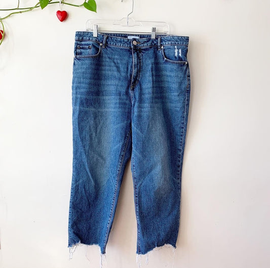Ann Taylor Loft Ankle Blue Straight Leg Jeans 18 Plus