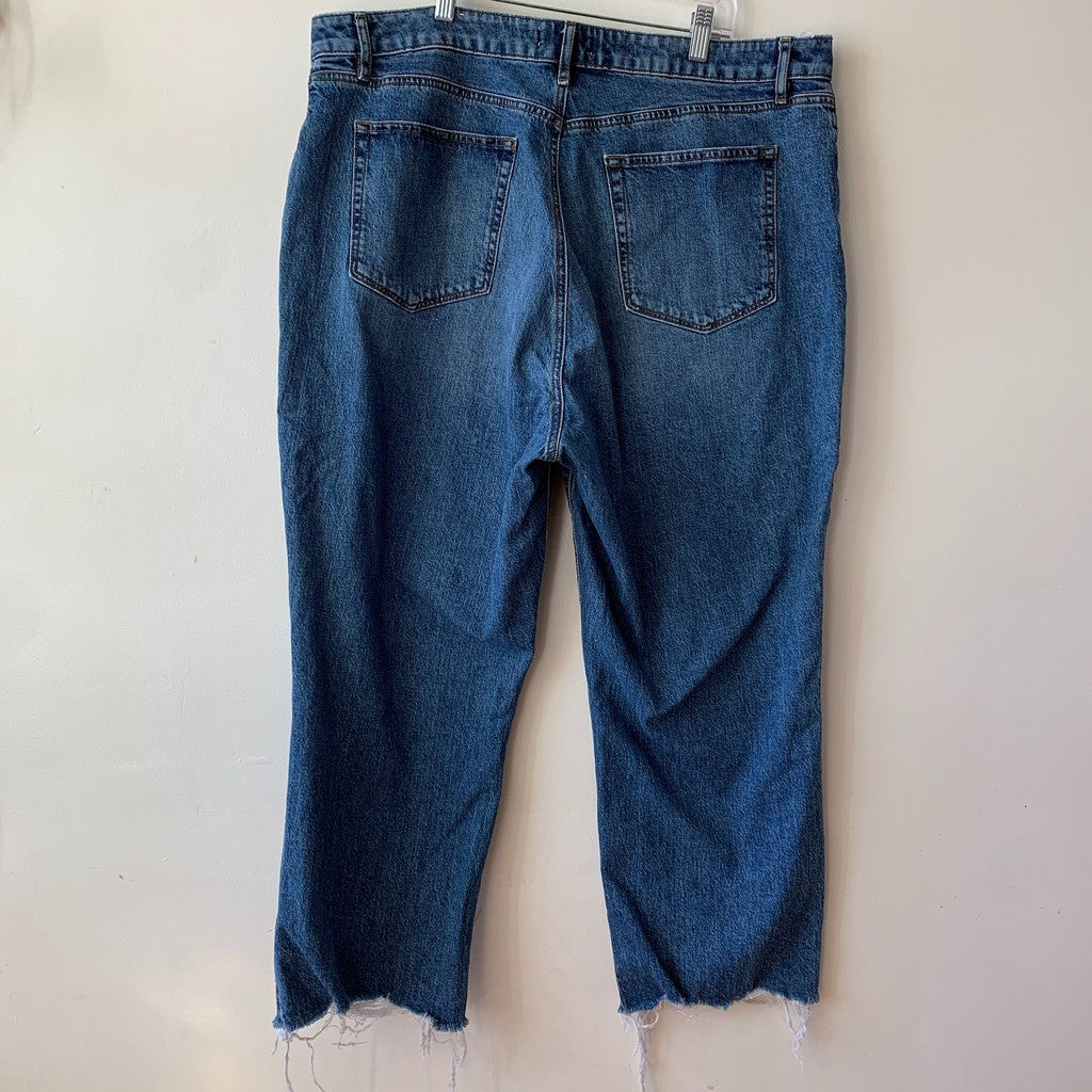 Ann Taylor Loft Ankle Blue Straight Leg Jeans 18 Plus