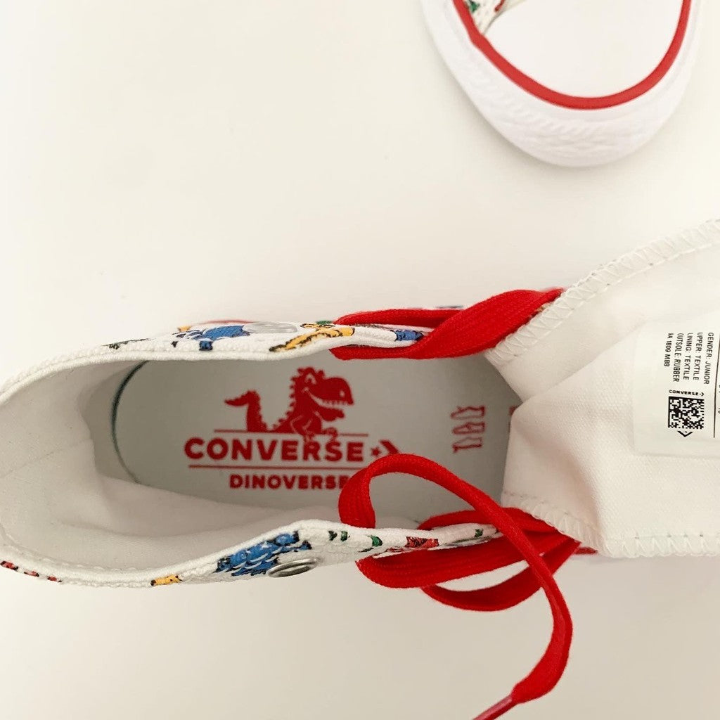 Converse Unisex-Child Kids' Chuck Taylor All Star Dinoverse High Top Sneaker